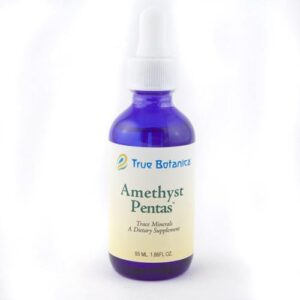 Amethyst Spirit Quartz Pentas True Botanica