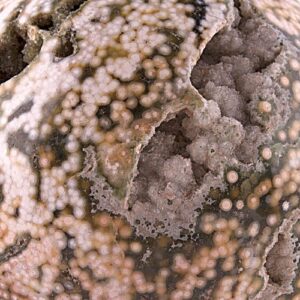 Ocean Jasper
