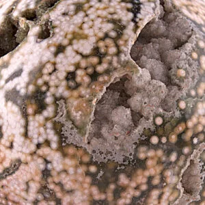 Ocean Jasper