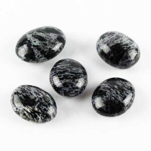 Indigo Gabbro, Rare "Winged" Palm Stone