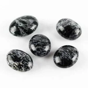 Indigo Gabbro, Rare "Winged" Palm Stone