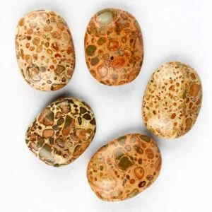Leopard Jasper Polished Stone