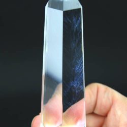 vogel-5-blue-hairs